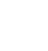 defender